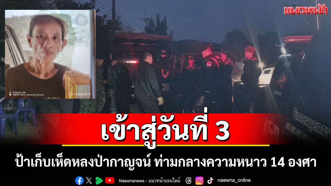 เข้าสู่วันที่ 3 แล้วยังไร้วี่แววคุณป้าเก็บเห็ดหลงป่ากาญจน์ ท่ามกลางอุณหภูมิ 14-15 องศา