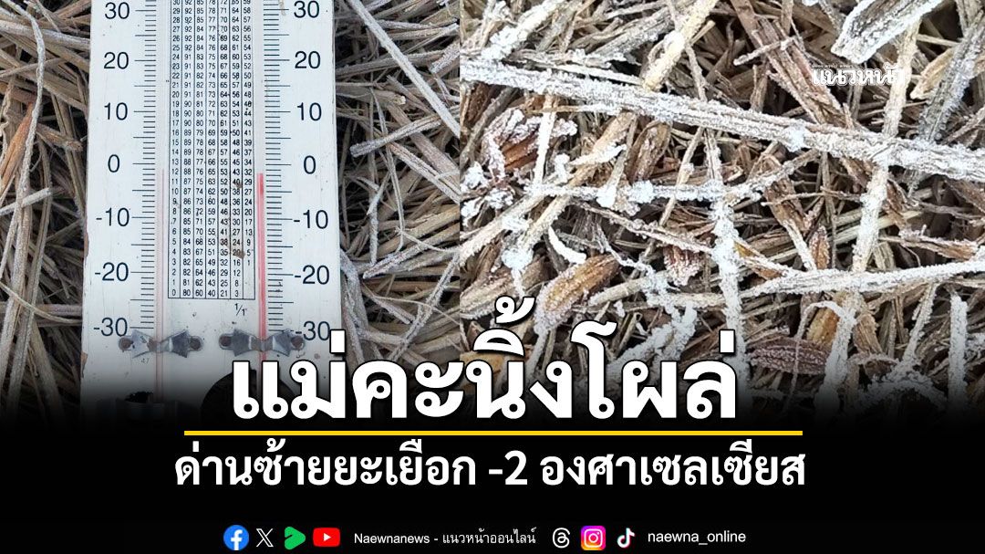 หนาวสะท้าน! 'เลย'ผงาด'แม่คะนิ้งแรกของปี ด่านซ้ายยะเยือก-2 องศาฯ