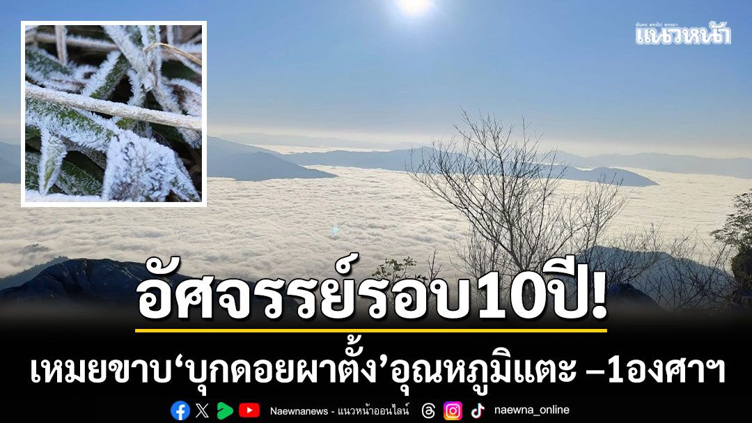 อัศจรรย์รอบ 10 ปี! เหมยขาบ ‘บุกดอยผาตั้ง’ อุณหภูมิลดฮวบแตะ –1 องศาฯ