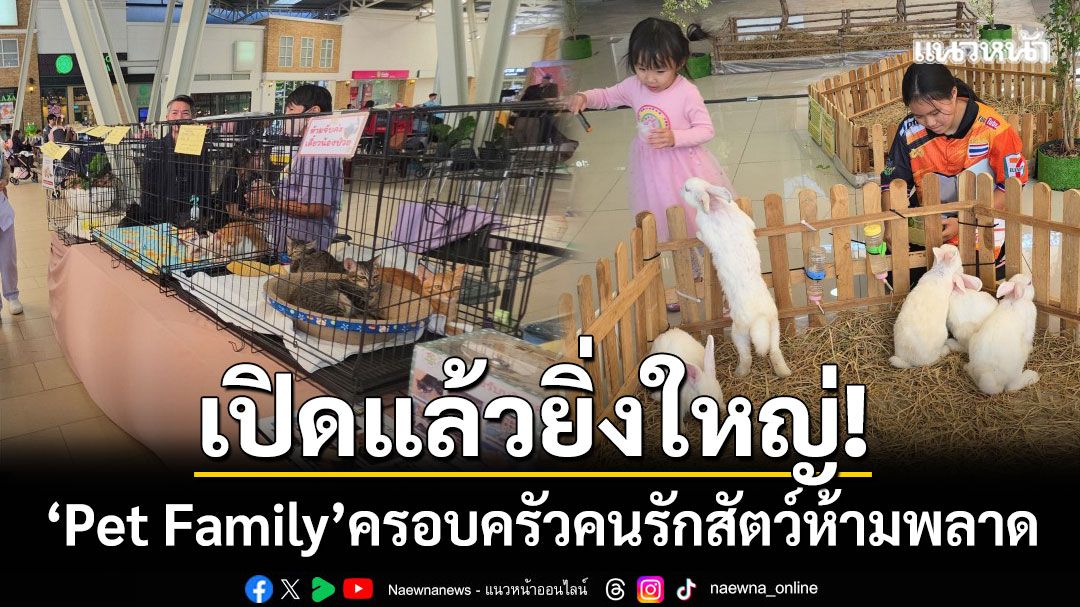 เปิดแล้วยิ่งใหญ่! ‘Pet Family’ ครั้งที่ 1 ขนกิจกรรมแน่น-คนรักสัตว์ห้ามพลาด