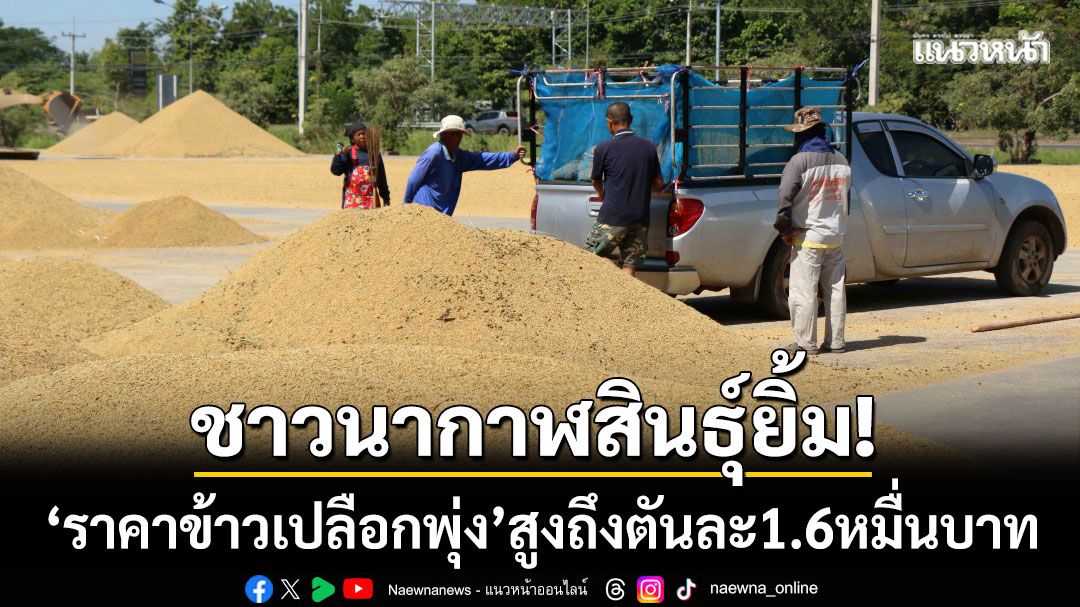 ชาวนาเริ่มยิ้ม! ตลาดกาฬสินธุ์คึกคักไม่หยุด ‘ราคาข้าวเปลือกพุ่ง’ สูงถึงตันละ 1.6 หมื่น