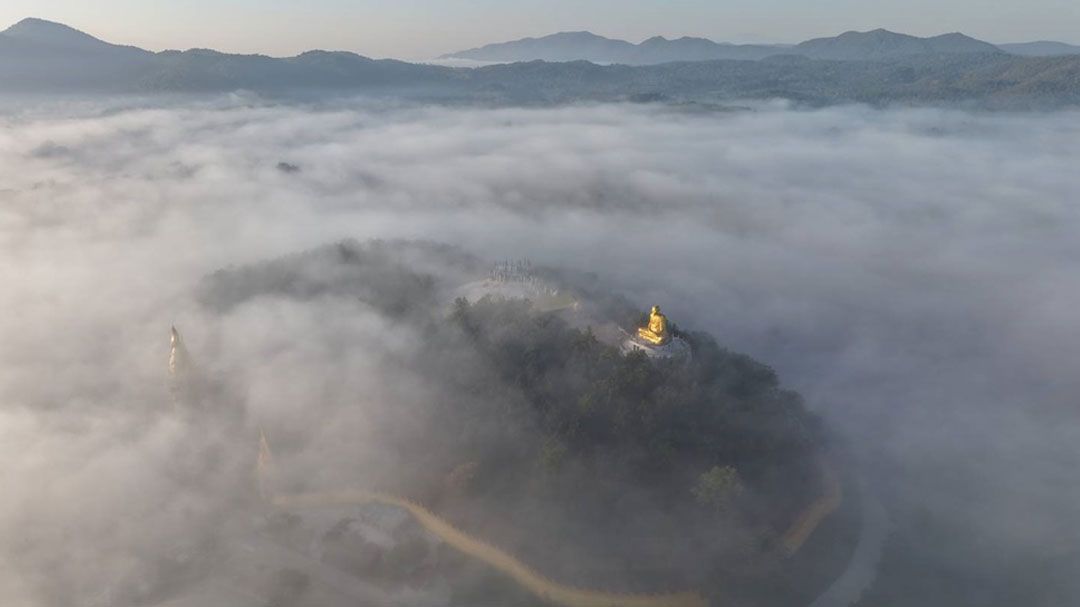 พะเยาหนาวจัด! หมอกปกคลุมม่อนพญานาค นกยูงป่าหายากโผล่อวดโฉม