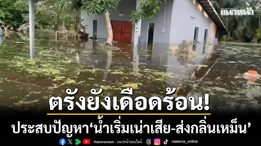 ตรังยังเดือดร้อน! ‘น้ำท่วมขังในพื้นที่ลุ่มต่ำ’ ประสบปัญหาน้ำเริ่มเน่าเสีย-ส่งกลิ่นเหม็น