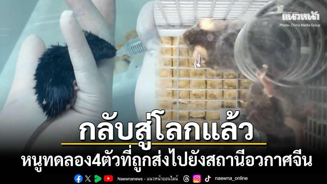 หนูทดลอง4ตัวกลับสู่โลกแล้ว พร้อมทีมนักบินอวกาศเสินโจว-20