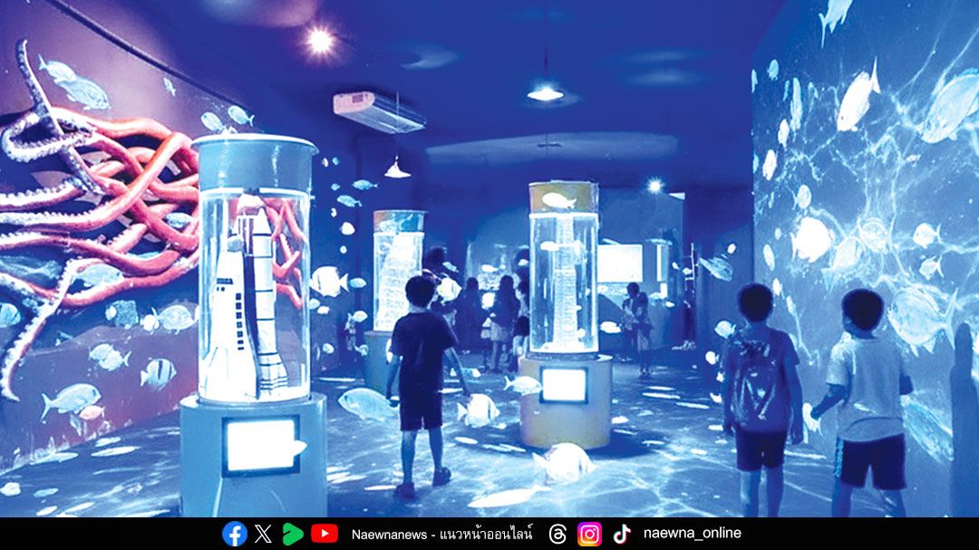 สวนสัตว์เชียงใหม่เปิดประสบการณ์ ‘หลงรักสัตว์ทะเล • ห่มเสน่ห์แสงดาว’ ยามค่ำคืน