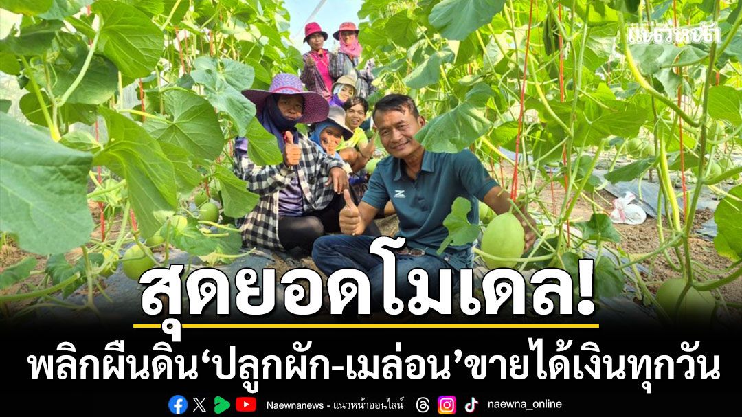 จากนาเสริมเป็นรายได้หลัก! พลิกผืนดิน ‘ปลูกผัก-เมล่อน’ ขายได้เงินทุกวัน