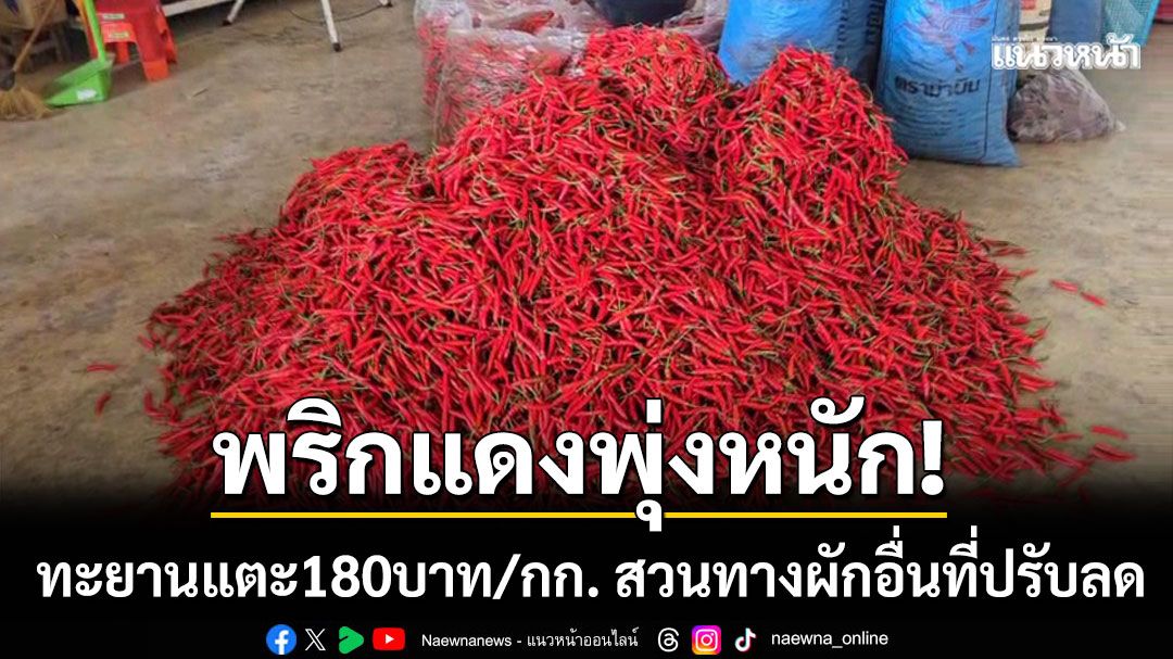 พริกแดงพุ่งหนัก! ทะยานแตะ 180 บาท/กก. สวนทางผักอื่นที่เริ่มปรับลดราคา