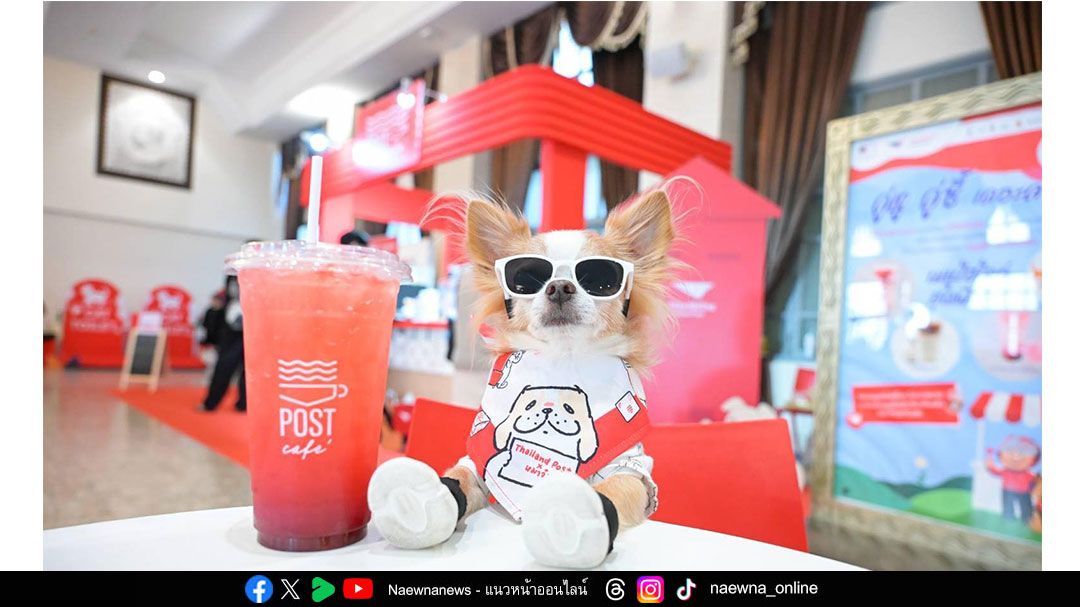 ไปรษณีย์กลาง บางรัก เปิดรันเวย์เพื่อนซี้สี่ขาในงาน ‘คู่หู คู่ซี้ เดอะคาเฟ่’