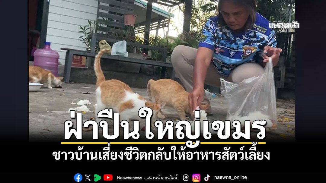 ฝ่าเสียงปืนใหญ่เขมร ชาวบ้านเสี่ยงชีวิต กลับให้อาหารสัตว์เลี้ยง