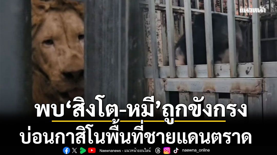 ฉก.นย.ตราด เข้าคุมพื้นที่ บ่อนกาสิโน พบ สิงโต-หมี ถูกขังในกรง