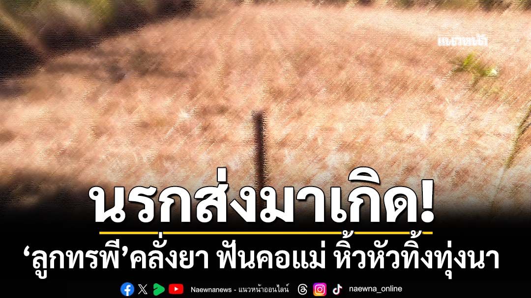 นรกส่งมาเกิด!‘ลูกทรพี’คลั่งยา ฟันคอแม่บังเกิดเกล้า หิ้วหัวทิ้งทุ่งนา