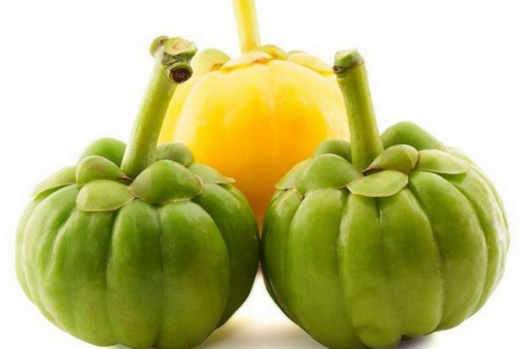 ​วว.เพิ่มมูลค่าสารสกัด ‘ส้มแขก’ พืชท้องถิ่นภาคใต้ของไทยสู่การพัฒนา ผลิตภัณฑ์เสริมอาหารลดความอยากอาหาร