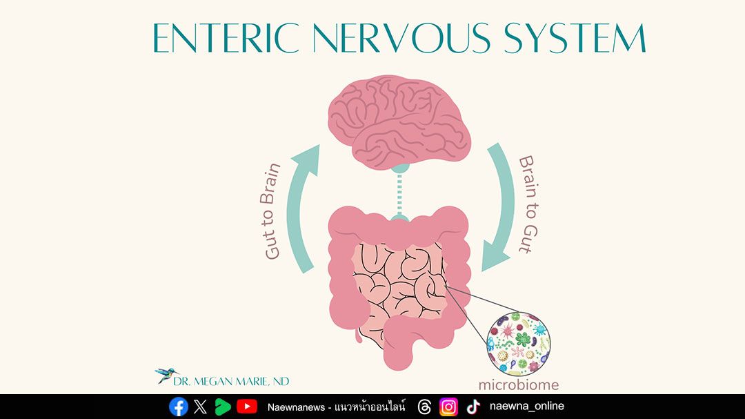 ท้องอืด ลมในท้อง อาจเกิดจากโครงสร้างร่างกายที่ไม่สมดุล