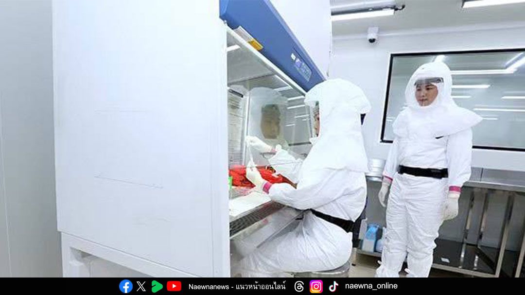 กรมวิทย์ฯ พร้อมตรวจเฝ้าระวังเชื้อไวรัสนิปาห์ ด้วยวิธีมาตรฐาน รายงานผลฉับไว