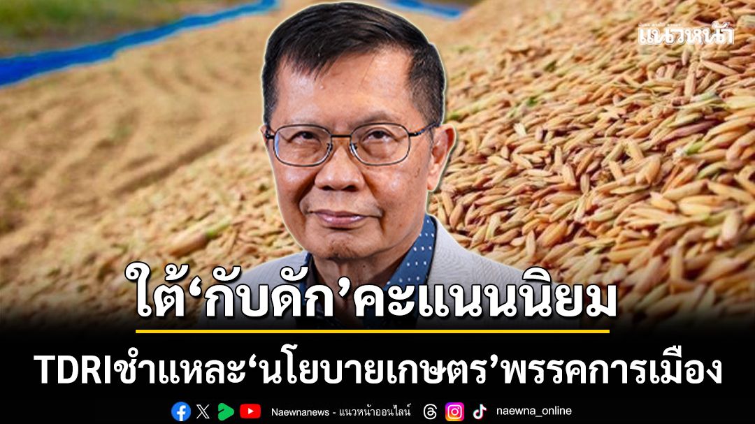 ‘ทีดีอาร์ไอ’ชำแหละ‘นโยบายเกษตร’พรรคการเมือง ใต้‘กับดัก’คะแนนนิยม
