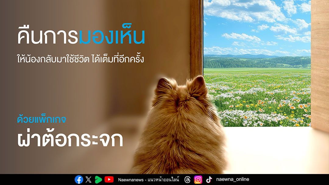 คืนการมองเห็นให้สัตว์เลี้ยงสูงวัย ด้วยเทคโนโลยีสลายต้อกระจก PHAECO