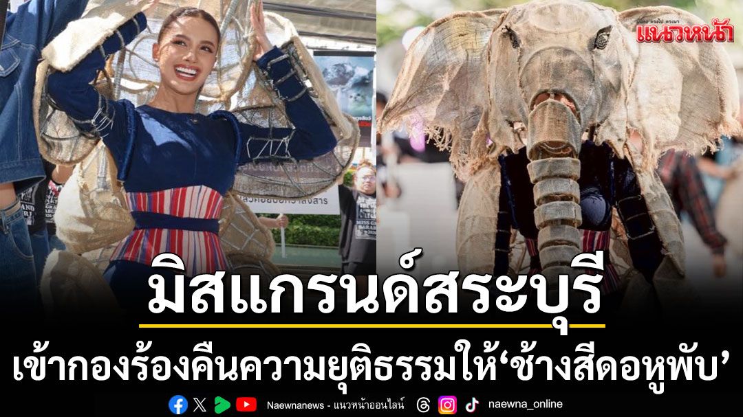 MGT ไวรัล\'มิสแกรนด์สระบุรี\'เข้ากองวันแรกเรียกร้องคืนความยุติธรรมให้\'ช้างสีดอหูพับ\'