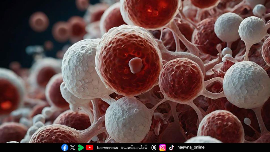 'ภูมิคุ้มกันบำบัด’ อีกทางเลือกใหม่ในการรักษามะเร็ง