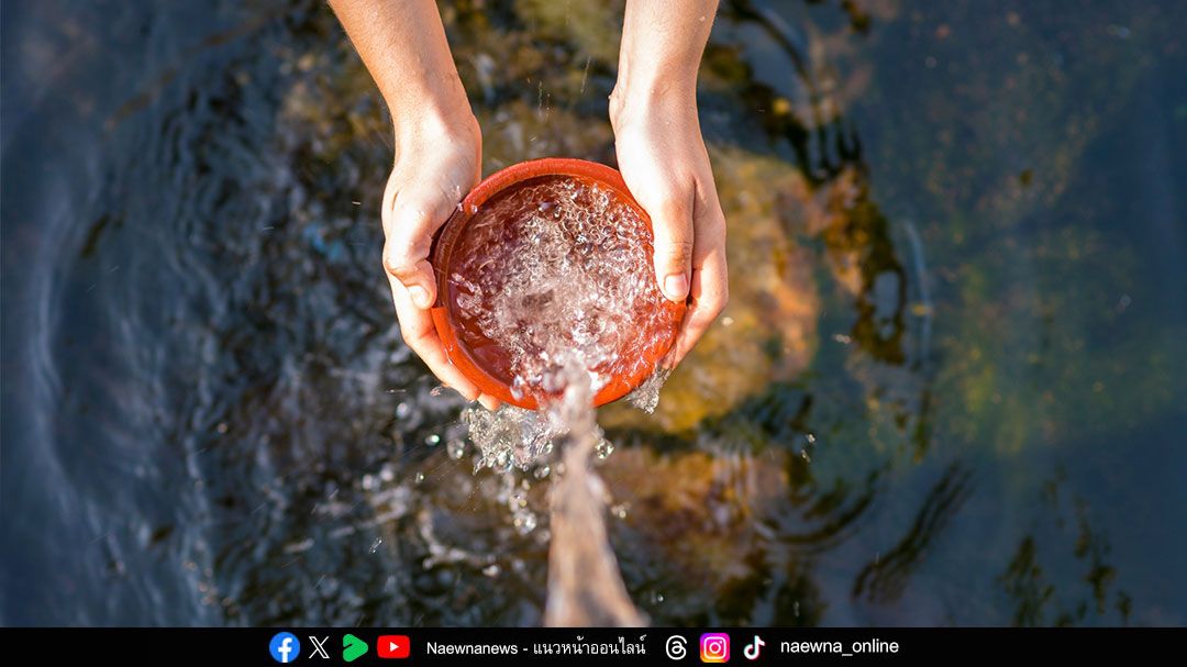 ‘วันน้ำโลก’ ระบบอาหารโลกเพิ่มแรงกดดันต่อทรัพยากรน้ำ ซิเนอร์เจีย แอนนิมอล ชี้อุตสาหกรรมปศุสัตว์คือตัวแปรสำคัญ