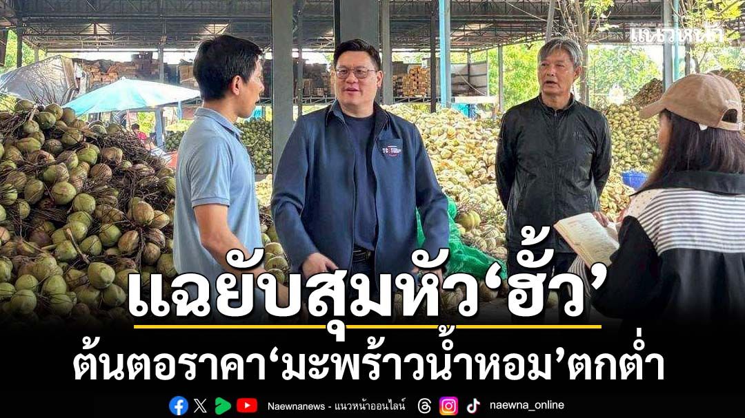 แฉยับ 300 โรงงานสุมหัว‘ฮั้วมะพร้าวน้ำหอม’-ทุนใหญ่แทรกแซงตลาด ต้นตอราคาตกต่ำ