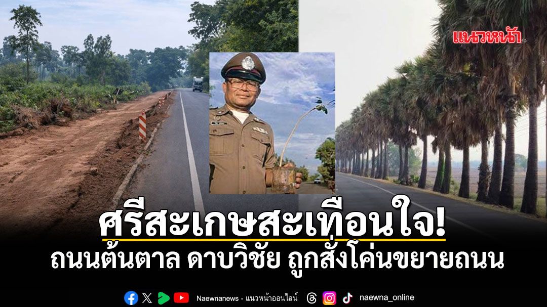 สะเทือนใจ! ปิดตำนาน ถนนต้นตาล ดาบวิชัย หลังถูกสั่งโค่นขยายถนน