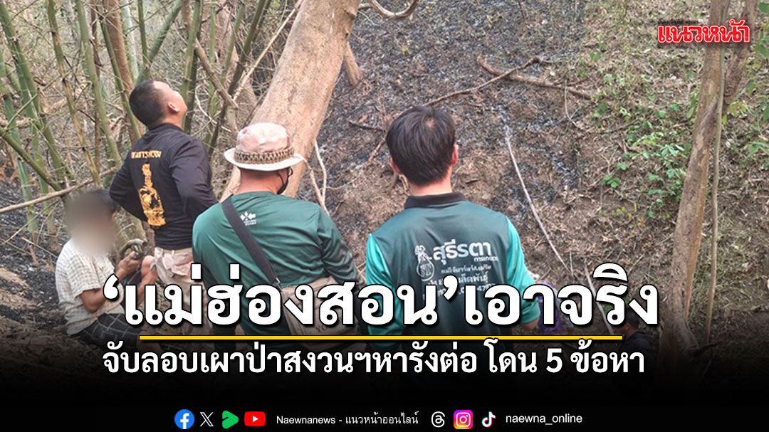 แม่ฮ่องสอนเอาจริง จับลอบเผาป่าสงวนฯหารังต่อ ส่งดำเนินคดี 5 ข้อหารวด