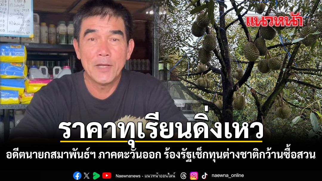 ราคาทุเรียนดิ่งเหว อดีตนายกสมาพันธ์ฯ ภาคตะวันออก ร้องรัฐเช็กทุนต่างชาติกว้านซื้อสวน