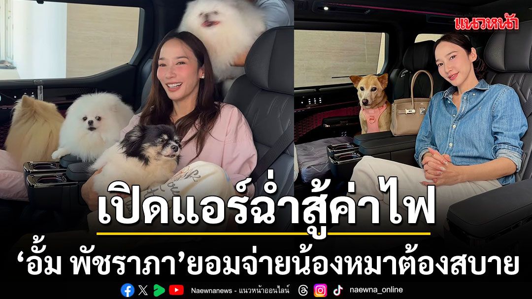 อั้ม พัชราภา ยอมจ่าย เปิดแอร์ฉ่ำสู้ค่าไฟพุ่ง ตัวเองยอมร้อนได้แต่น้องหมาต้องสบาย