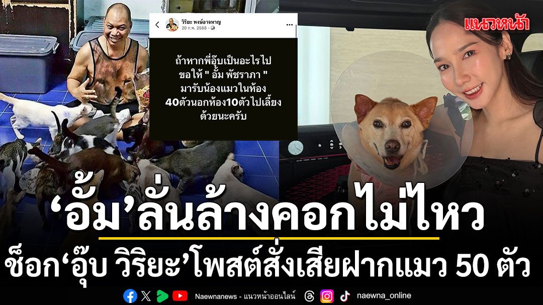 ช็อก อุ๊บ วิริยะ โพสต์สั่งเสียฝากแมว 50 ตัว อั้ม พัชราภา ลั่นล้างคอกไม่ไหว-ได้ยินแล้วจะเป็นลม