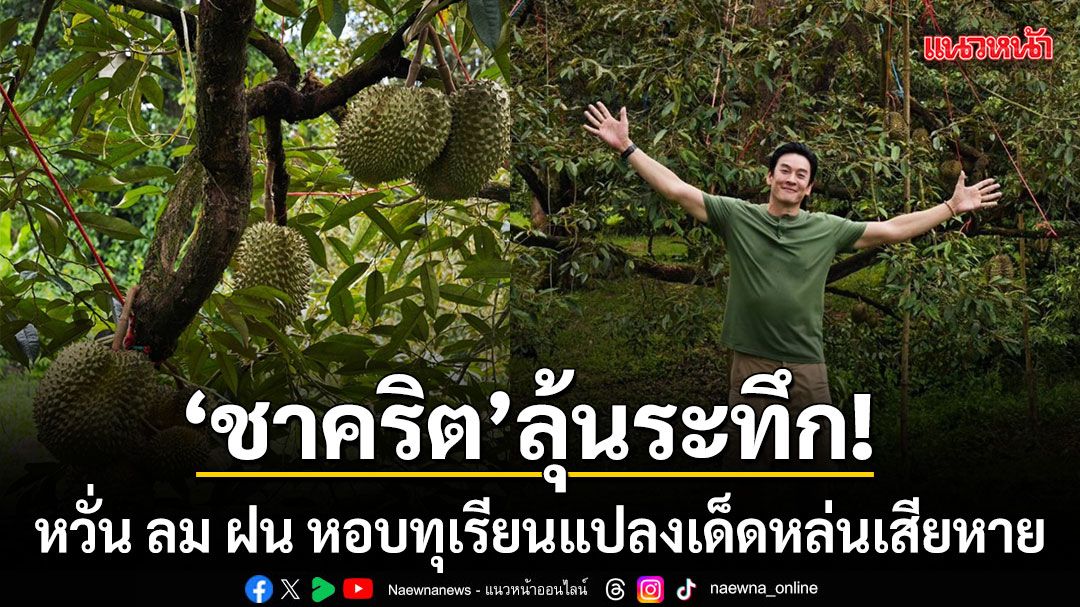 ชาคริต ลุ้นระทึก ฝนกระหน่ำสวนเมืองจันท์ หวั่น ลม หอบทุเรียนแปลงเด็ดหล่นเสียหาย