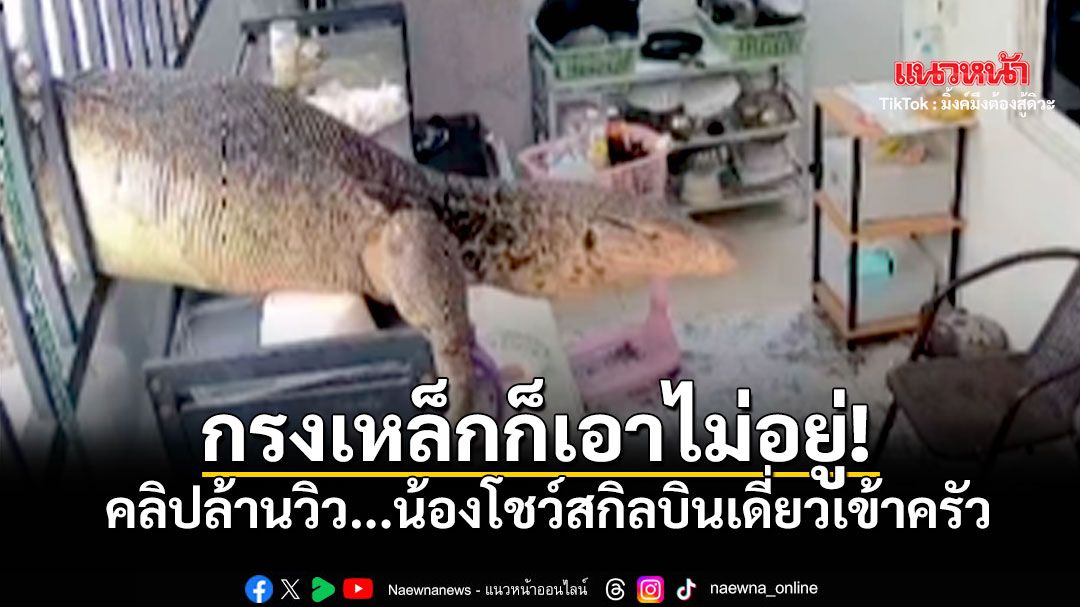 เจ้าของบ้านเข่าแทบทรุด ข้าวของพังนึกว่าโดนงัด อ้าว! นี่มันสไปเดอร์แมนเวอร์ชั่นมีหาง