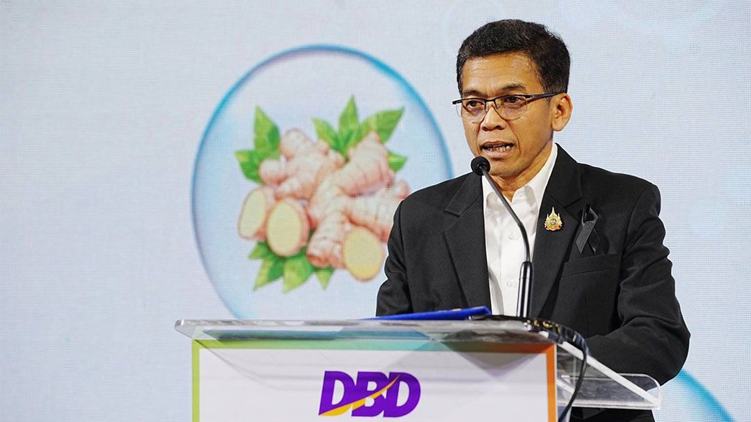 ‘DBD’ปั้นเมืองสมุนไพร เชียงราย-สุราษฎร์ฯพื้นที่ต้นแบบ