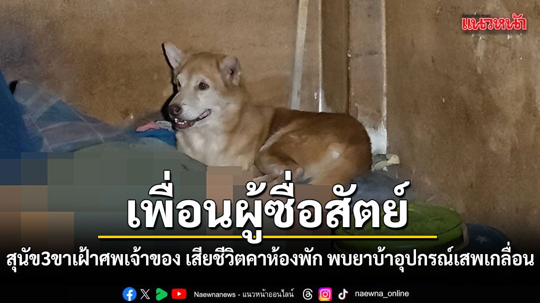 เพื่อนผู้ซื่อสัตย์ สุนัข3ขาเฝ้าศพเจ้านาย เสียชีวิตคาห้องพัก พบยาบ้าอุปกรณ์เสพเกลื่อน