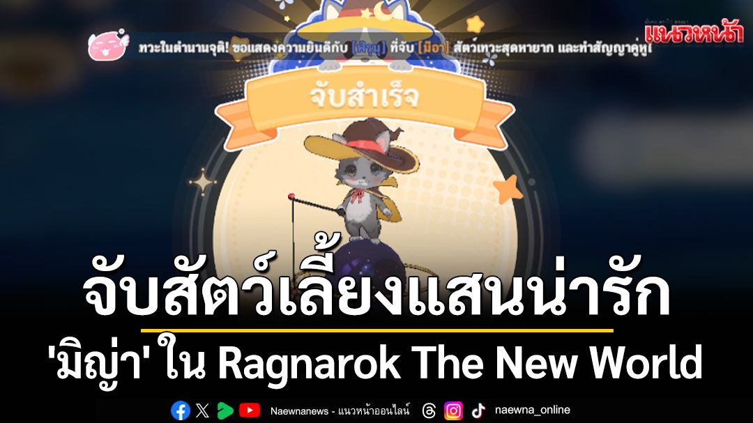 จับสัตว์เลี้ยงแสนน่ารัก \'มิญ่า\' ใน Ragnarok The New World