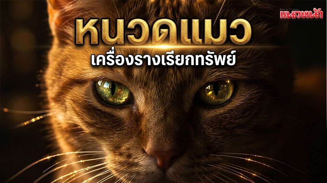 เปิดความลับ \'หนวดแมว\' เครื่องรางมงคล ช่วยเรียกทรัพย์-คุ้มภัย