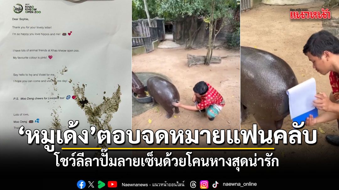 ซุปตาร์ หมูเด้ง ตอบจดหมายแฟนคลับตัวน้อยชาวอังกฤษ โชว์ลีลาปั๊มลายเซ็นด้วยโคนหางสุดน่ารัก